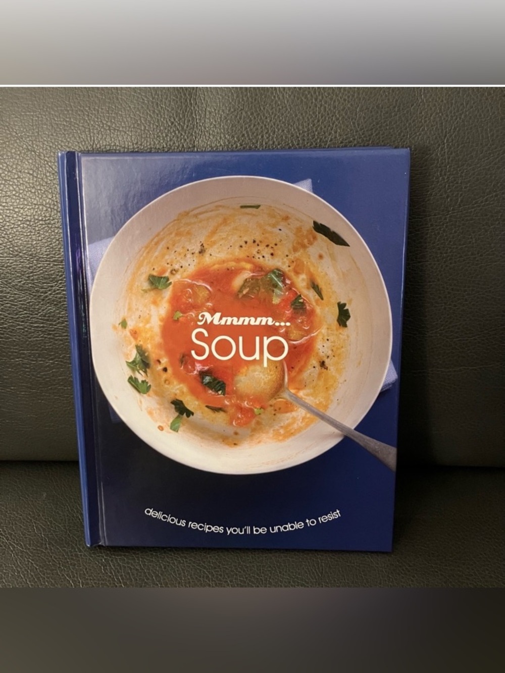 Mmmm...Soup Hard Cover Recipe Cookbook - 2011 Poultry Vegetables Fish Meat Cook